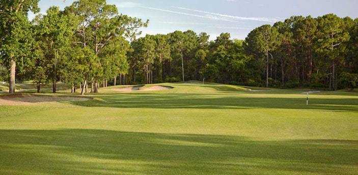 Trees surround the golf course at Julington Creek Golf Club in St. Augustine